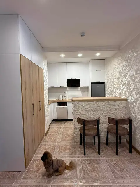 1 otaqlı mənzil kirayə verilir, Batumi — $650