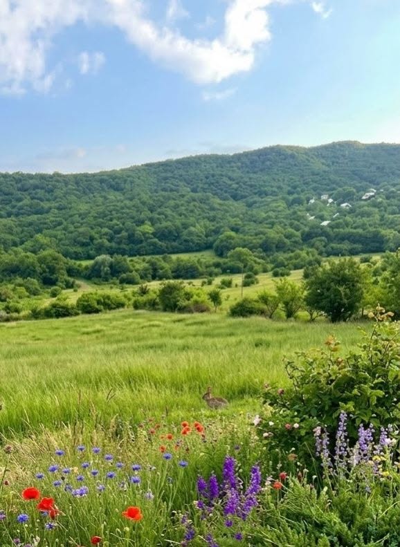 🏔️ Высокогорный статус Уджармы