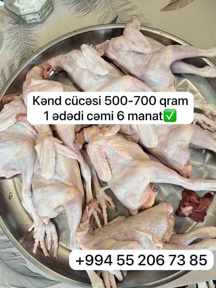 Kənd cücəsi, 500-700 qram