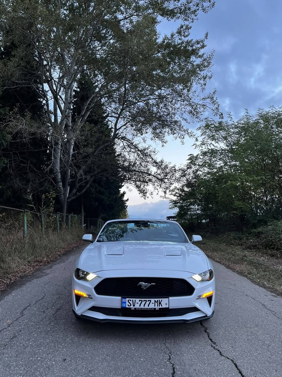 Ford Mustang 2021