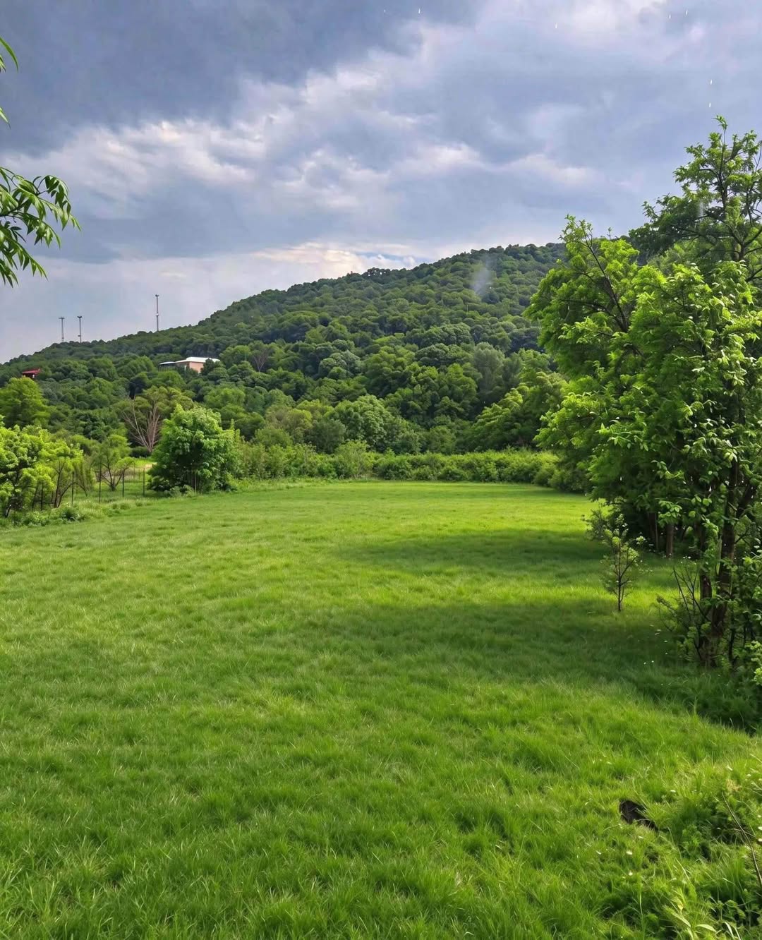 Torpaq sahəsi, Tbilisi