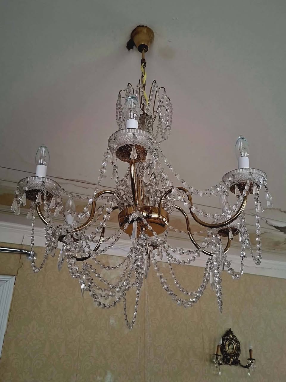 🏡✨ Evden satış yapılır! Güzel çiçekler satılır,