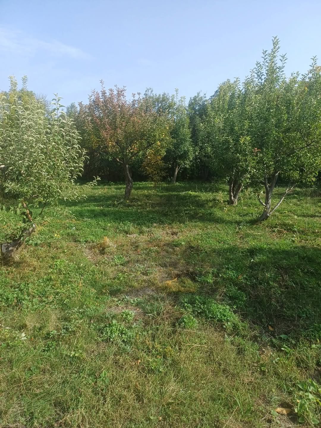 Arazi, Çarentsavan — $27,000