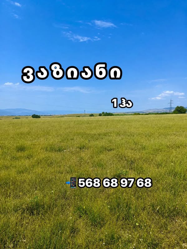 📍 იყიდება 1 ჰექტარი მიწის ნაკვეთი — 100,000$