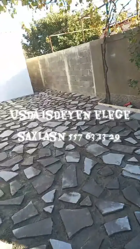 Киви хелосани