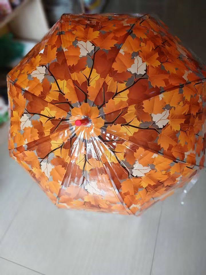 Transparent autumn-leaf umbrella, delivery in Georgia