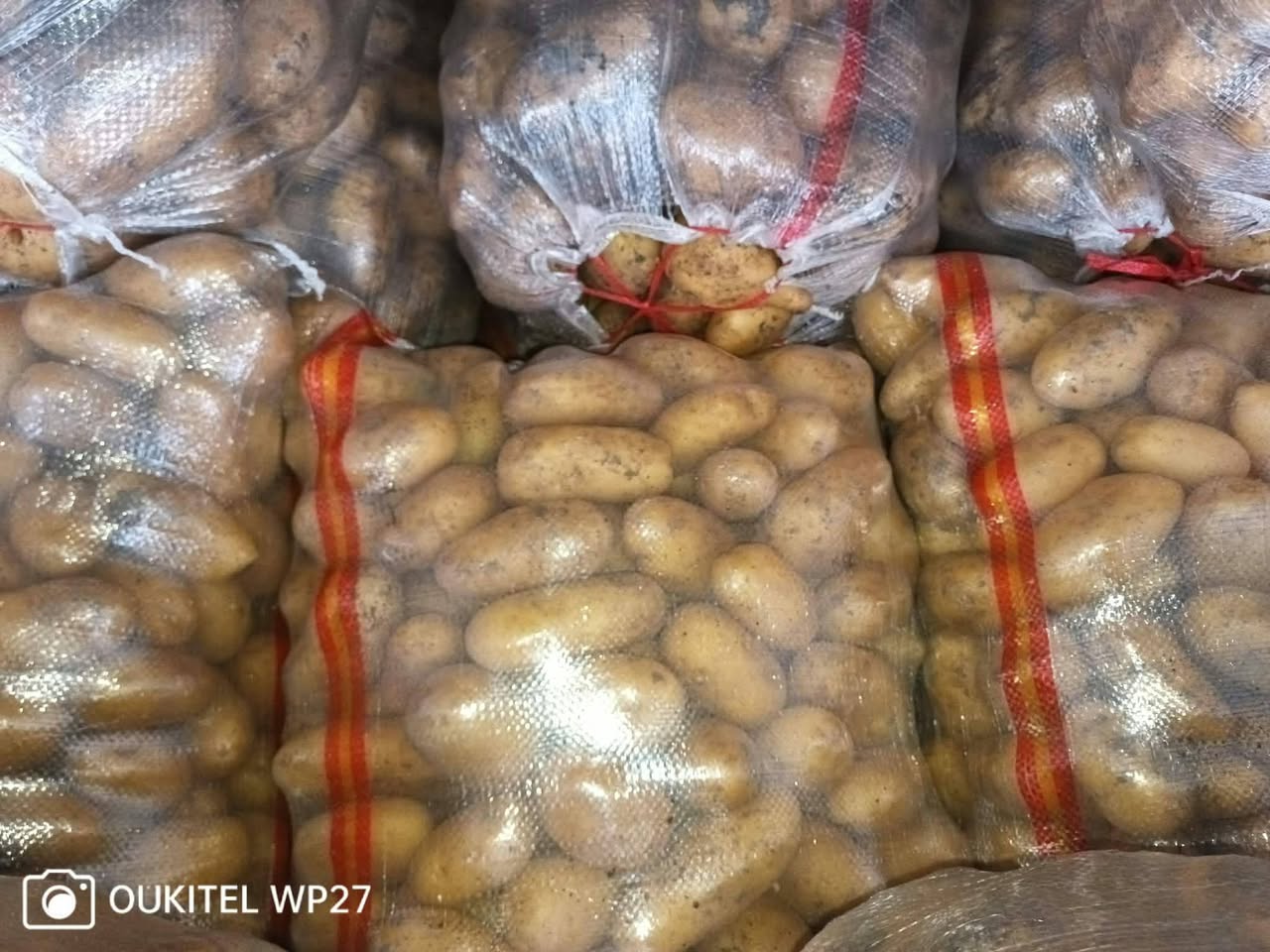 Adigenin kartofeli ən yaxşı sarı gula - 1.2₾