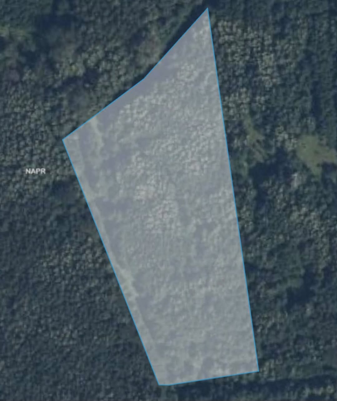 Agricultural land with forest in Abasha